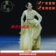 第十三届桃李杯舞蹈服专业定制女子独舞舞台演出表演服 桔梗