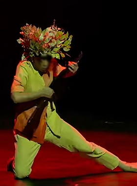 第八届重庆市舞蹈比赛《那一片云》专业定制橙色男子独舞表演服装