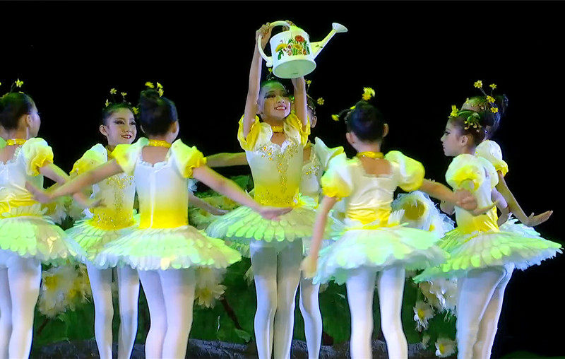 第十一届小荷风采花儿鼓儿歌儿少儿群舞六一女童纱裙蓬蓬裙演出服