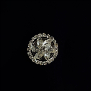 扣 袖 镶钻diy扣子 时髦精自留款 Dan