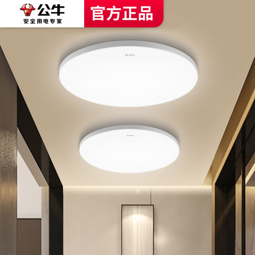 公牛客厅大气风阳台圆形吸顶灯