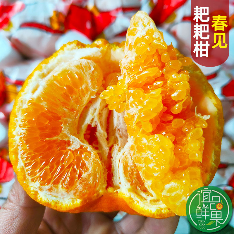 四川眉山春见耙耙柑精选中大果8装新鲜现摘果园直发超甜多汁橘子,水产肉类/新鲜蔬果/熟食,桔子,淘宝优惠券,粉丝福利购,淘宝优惠卷