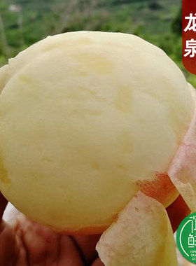 四川龙泉水蜜桃新鲜现摘