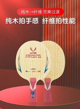 loki锐龙5pro致胜乒乓球专业底板碳素纤维球拍进阶启蒙专业球拍