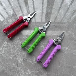 编藤剪刀稀果剪葡萄采果剪桔子剪柑橘蔬果剪摘果剪果园果树小剪刀