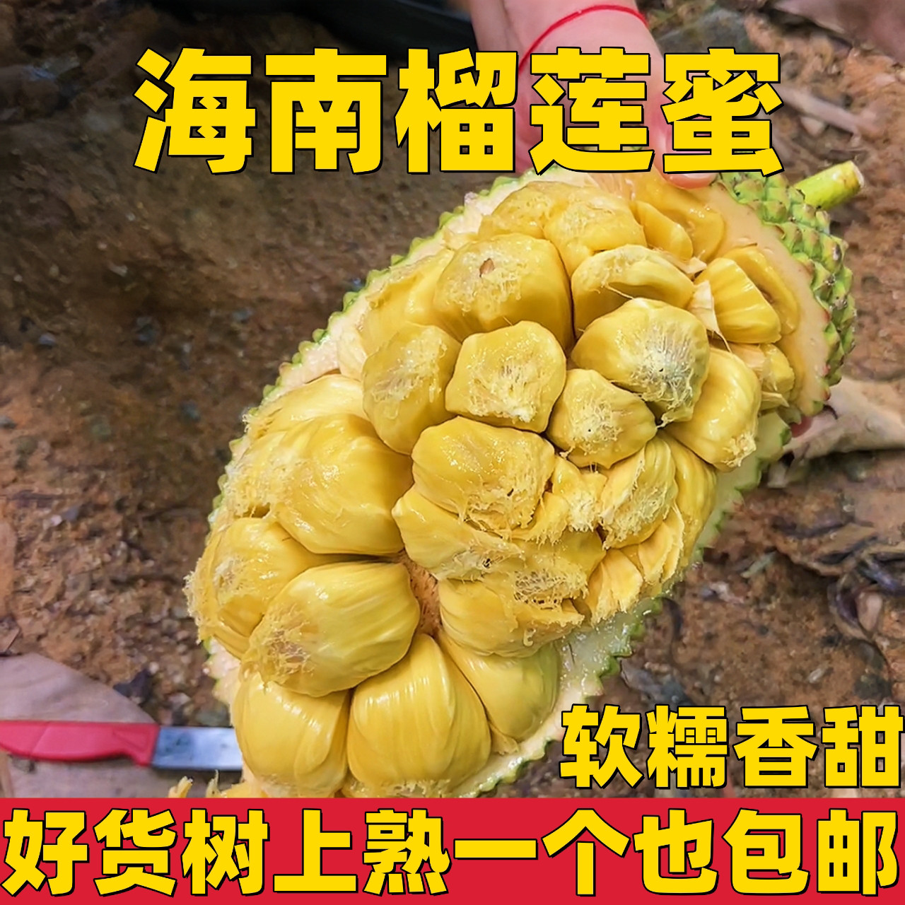 现摘海南榴莲蜜应季热带新鲜水果软糯香甜湿苞巴掌小榴莲整个包邮