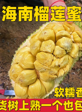 现摘海南榴莲蜜应季热带新鲜水果软糯香甜湿苞巴掌小榴莲整个包邮