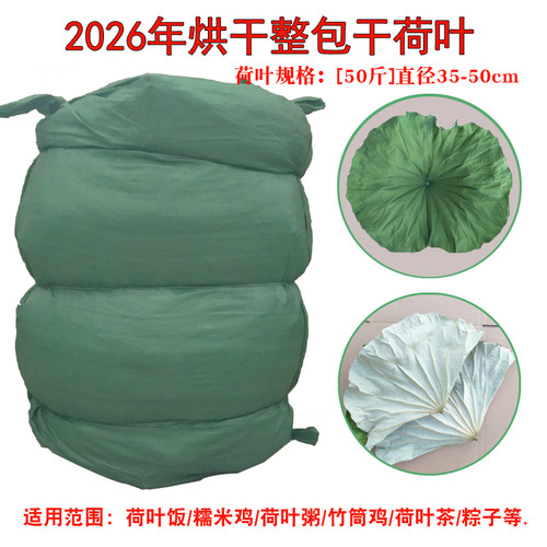 2026新鲜干荷叶50斤整包