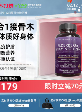 vivanaturals美国进口黑接骨木VC维生素d锌姜5合1营养维生素120粒