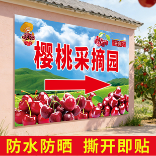 樱桃采摘园广告牌海报水果摆地摊广告布卖樱桃车厘子采摘宣传贴纸