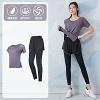 Фиолетовый -целый два -купольный набор FTC34668