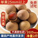 福建莆田特产12A大桂圆干特级旗舰店2025年新货2斤 龙眼干小核 包邮