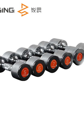 RISING锐思PRO版钢制电镀哑铃套装 1~10kg套装私教健身房家用锻炼