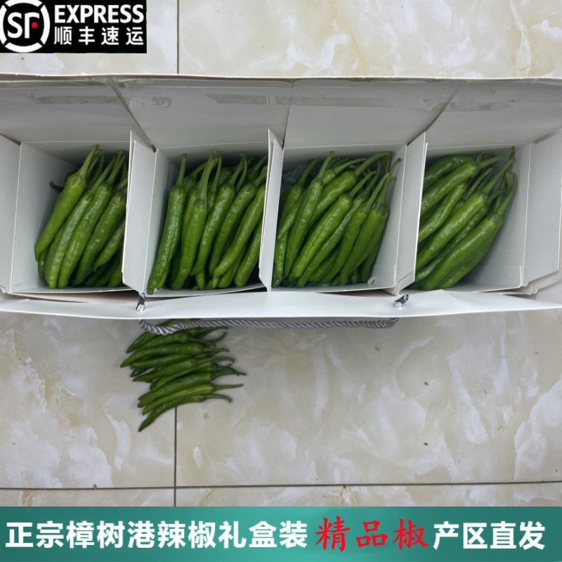 精品2斤礼盒装正宗樟树港辣椒现摘湖南特产农家新鲜薄皮小青椒