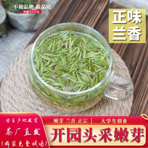 2026年白茶安吉头采250g罐装