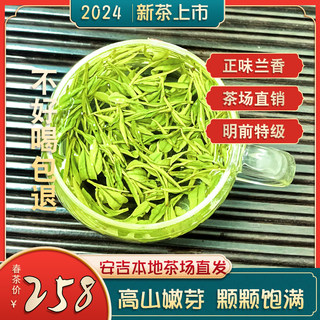 2024年白茶安吉新茶叶高山明前特级春茶兰香原产地礼盒款罐装250g