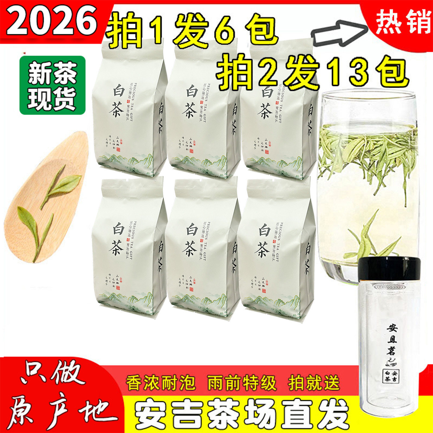 安吉26年新茶白茶特级250g自己喝图片