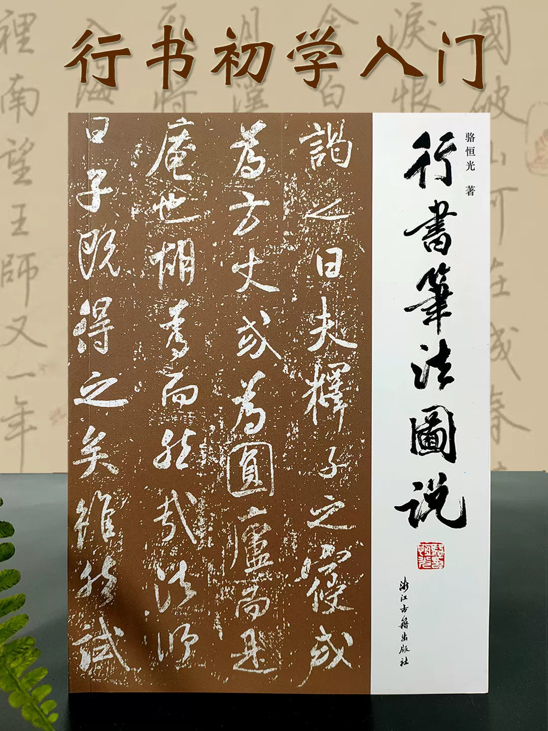 行书笔法图说 行书特点执笔笔画偏旁结体章法选帖临摹创作欣赏 附精选