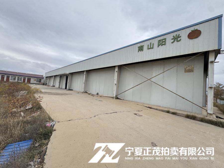 3月22日中卫市某公司相关资产项目网络拍卖公告