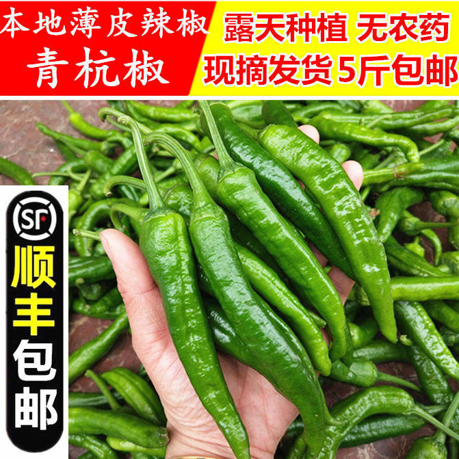 【顺丰包邮】农家现摘土辣椒现摘
