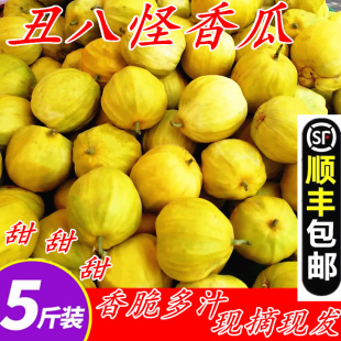 【顺丰包邮】湖北新鲜甜瓜梨瓜 丑八怪香瓜 八里香脆甜黄金八方瓜