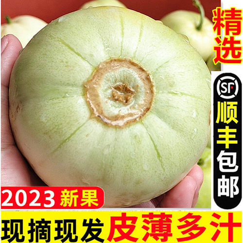 顺丰包邮农家甜瓜新鲜丑八怪