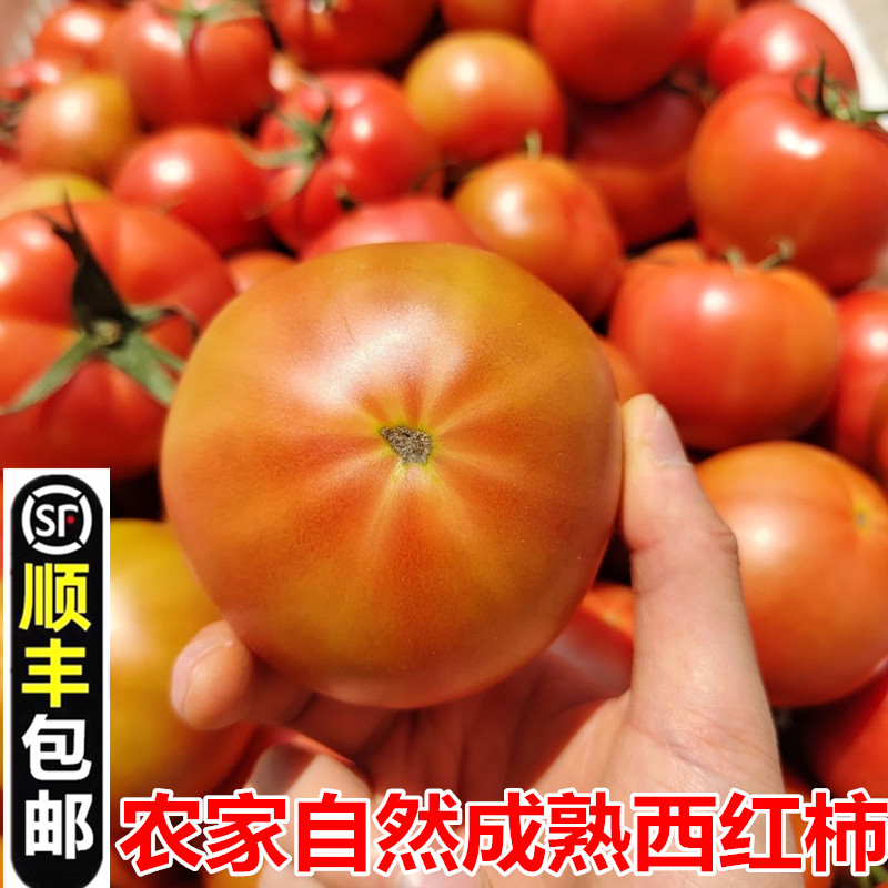 【顺丰包邮】农家自种西红柿新鲜其它
