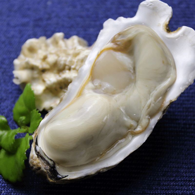 生蚝鲜活特大新鲜牡蛎海鲜贝壳超大带壳海蛎子烧烤食材1箱商用