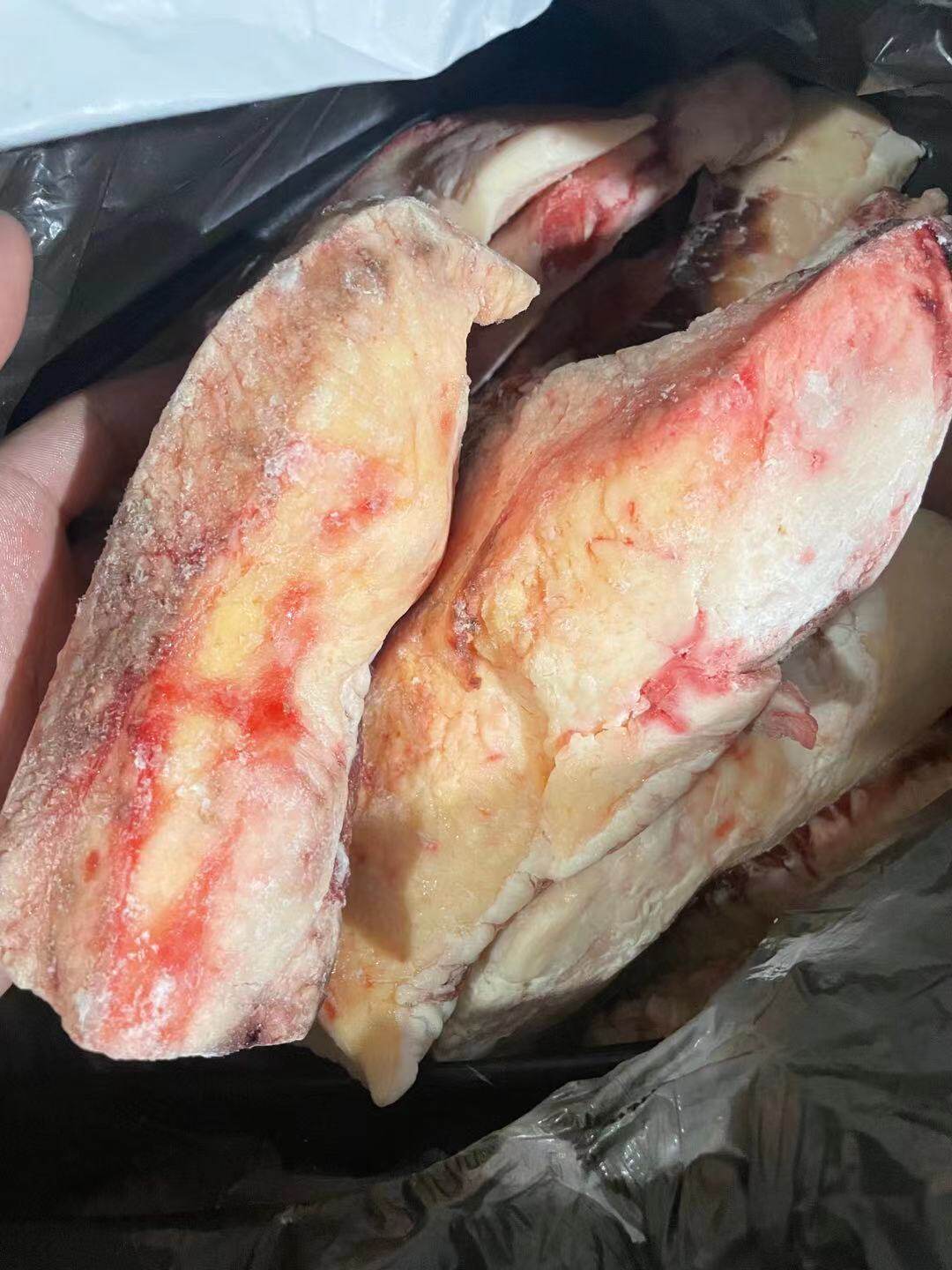 烤肉食材新鲜现杀黄牛胸口油500g香脆胸口油胸口朥胸口肉牛油小串