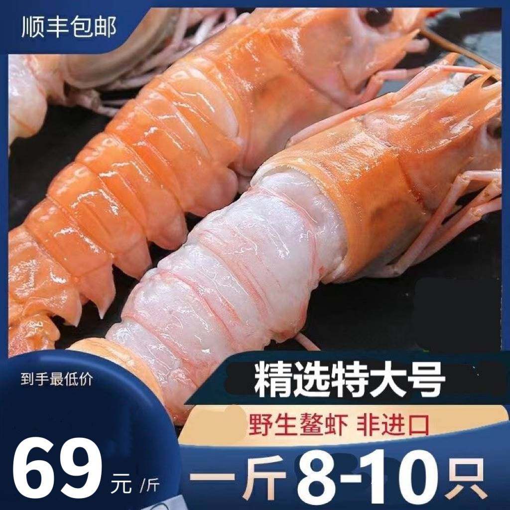 特大号舟山海鳌虾鲜活速冻深海小龙虾刺身甜虾日料生吃