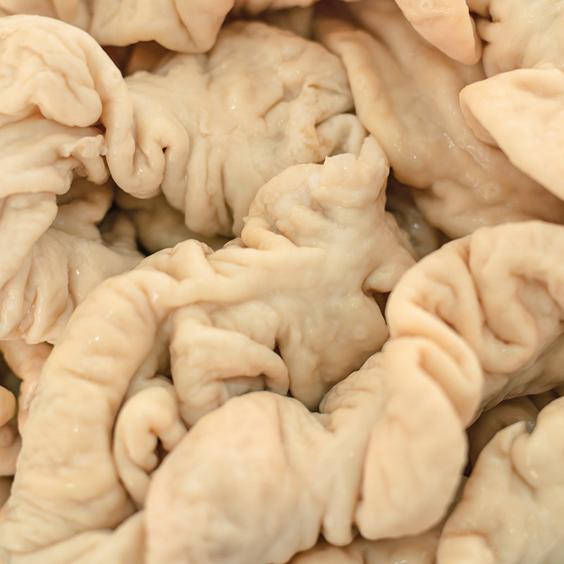 猪大肠新鲜4斤半熟免洗卤冷冻非熟食半成品头鲜猪肉下水肥肠生鲜