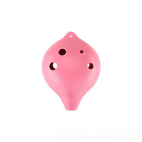 正品TNG6树脂笛陶小学生专用孔孔AC调学校初学教学款塑胶六儿童乐