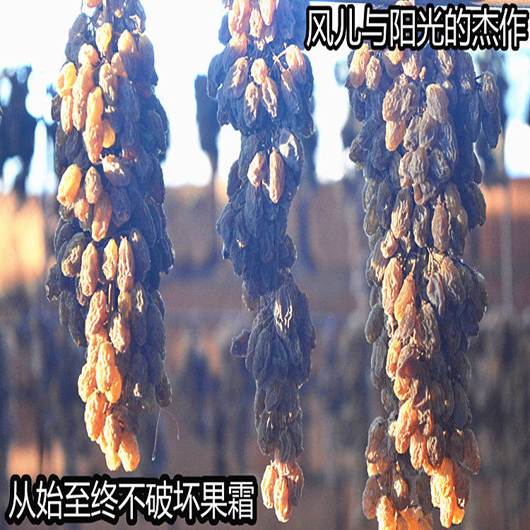 新疆吐鲁番自然风干无添加葡萄干无核白无膨大剂无促干剂2025新货