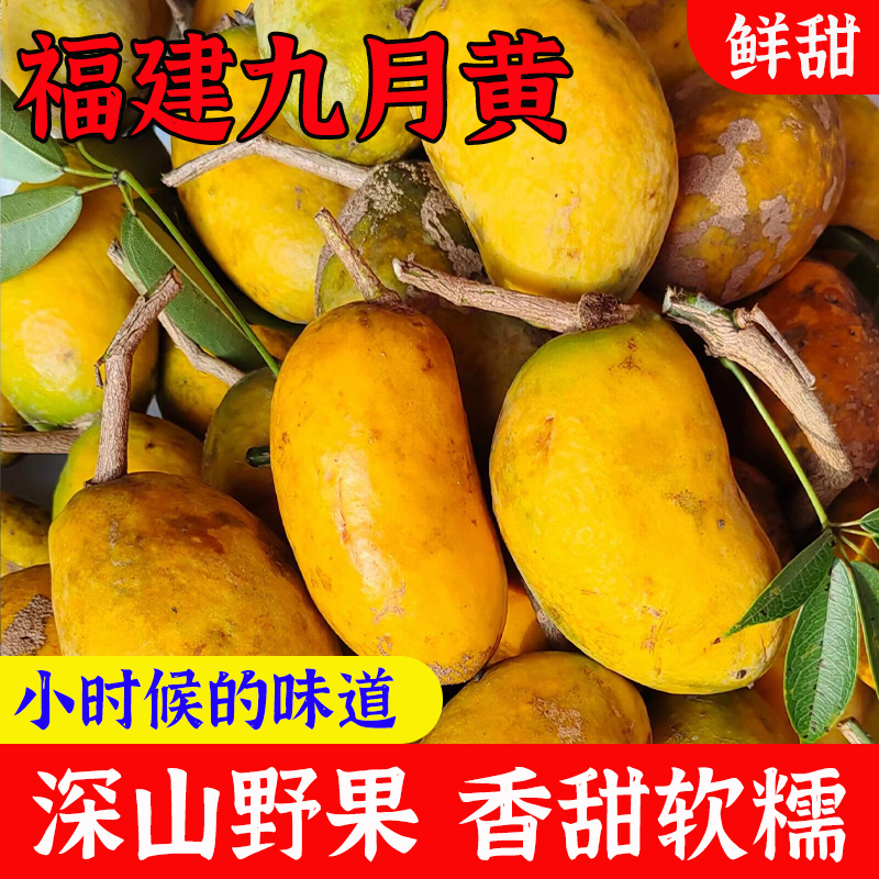 九月黄5斤应季水果拿麻藤包