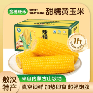 敖汉玉米金穗旺禾黄糯玉米现摘新玉米
