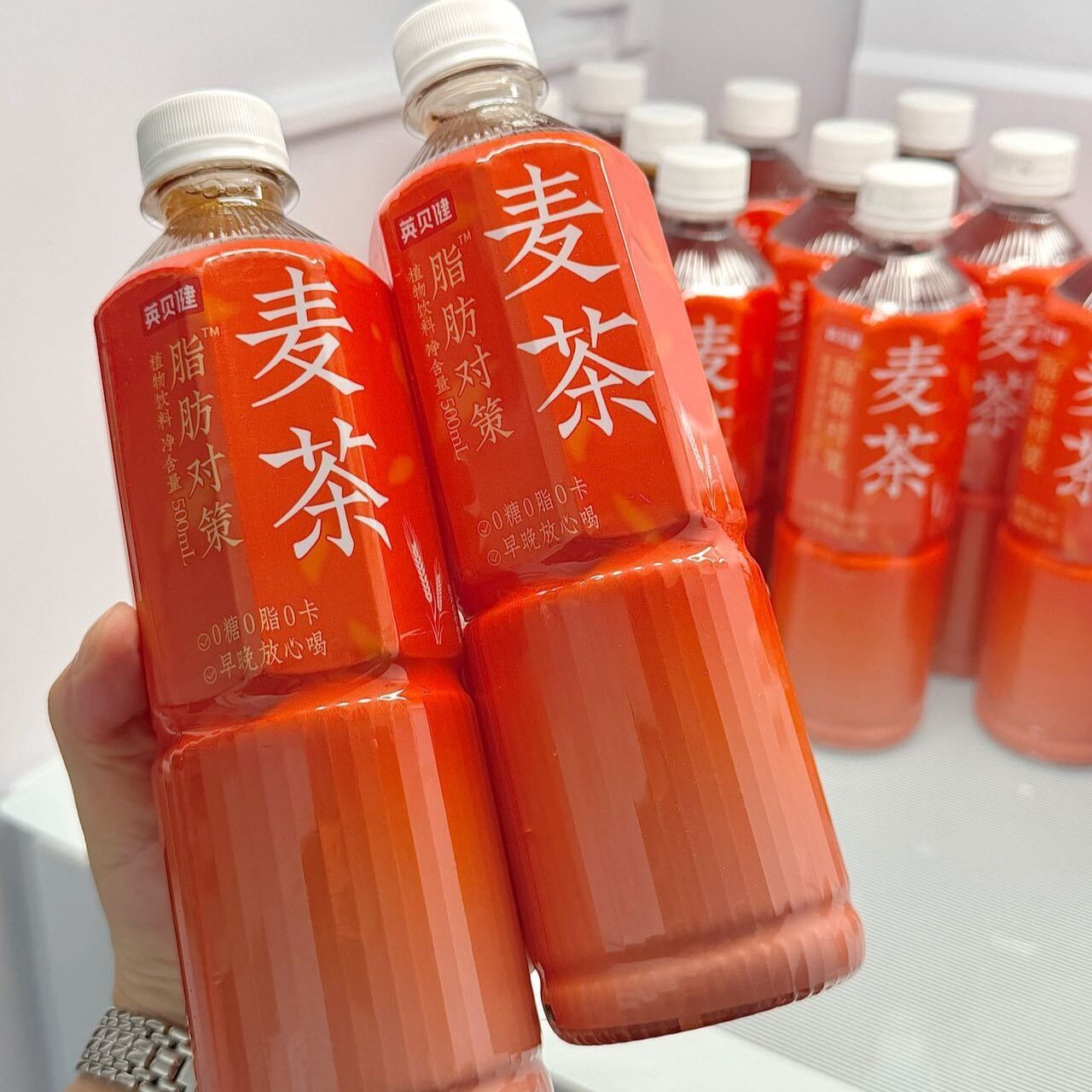 英贝健脂肪对策麦茶500ml/瓶无糖麦茶植物茶饮料