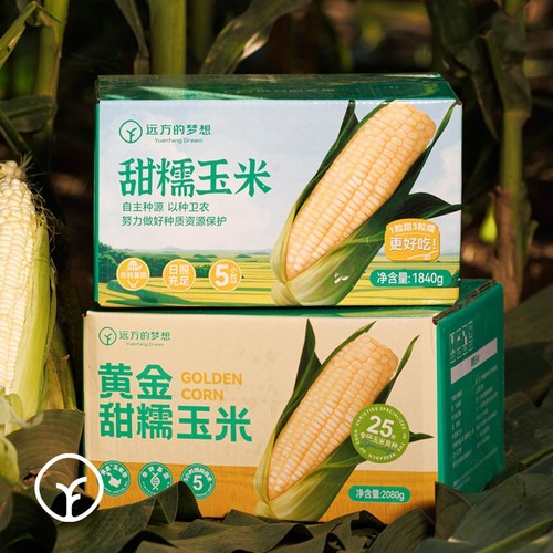 玉膳房五常甜糯玉米棒新鲜现摘苞谷即食玉米零食农科玉336