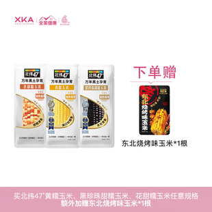 北纬47度黄黑花糯/白甜糯/低GI水果玉米