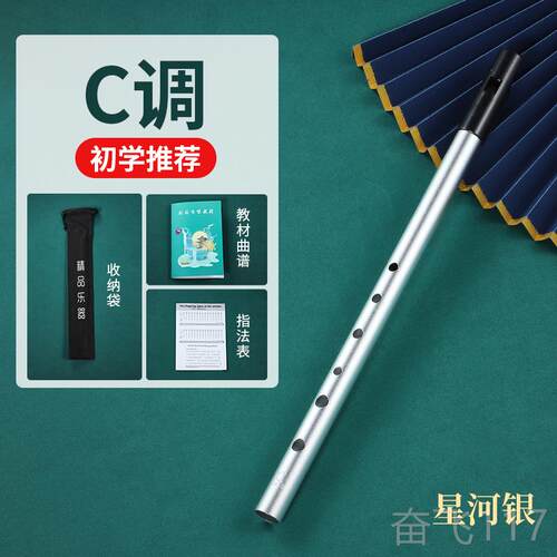 正品爱兰哨笛D调C降B调金属笛口笛竖学笛初者入门专业调款六孔尔