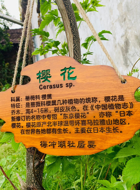 定制花草地牌树牌户外插地牌悬挂式标牌防腐实木质牌简介植物挂牌