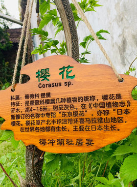 定制花草地牌树牌户外插地牌悬挂式标牌防腐实木质牌简介植物挂牌