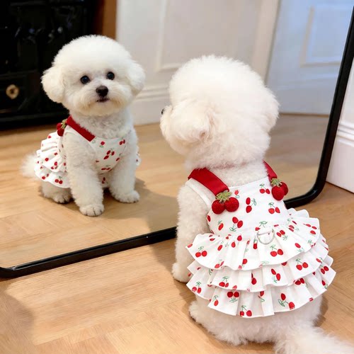 狗狗薄款衣服公主吊带裙猫咪透气防掉毛连衣裙比熊泰迪夏季蛋糕裙
