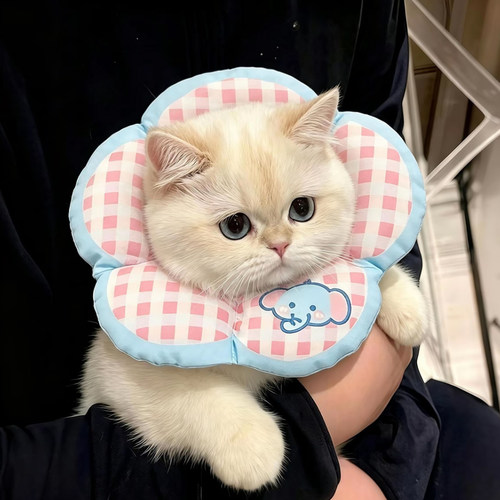 猫咪术后防舔防水软伊丽莎白圈