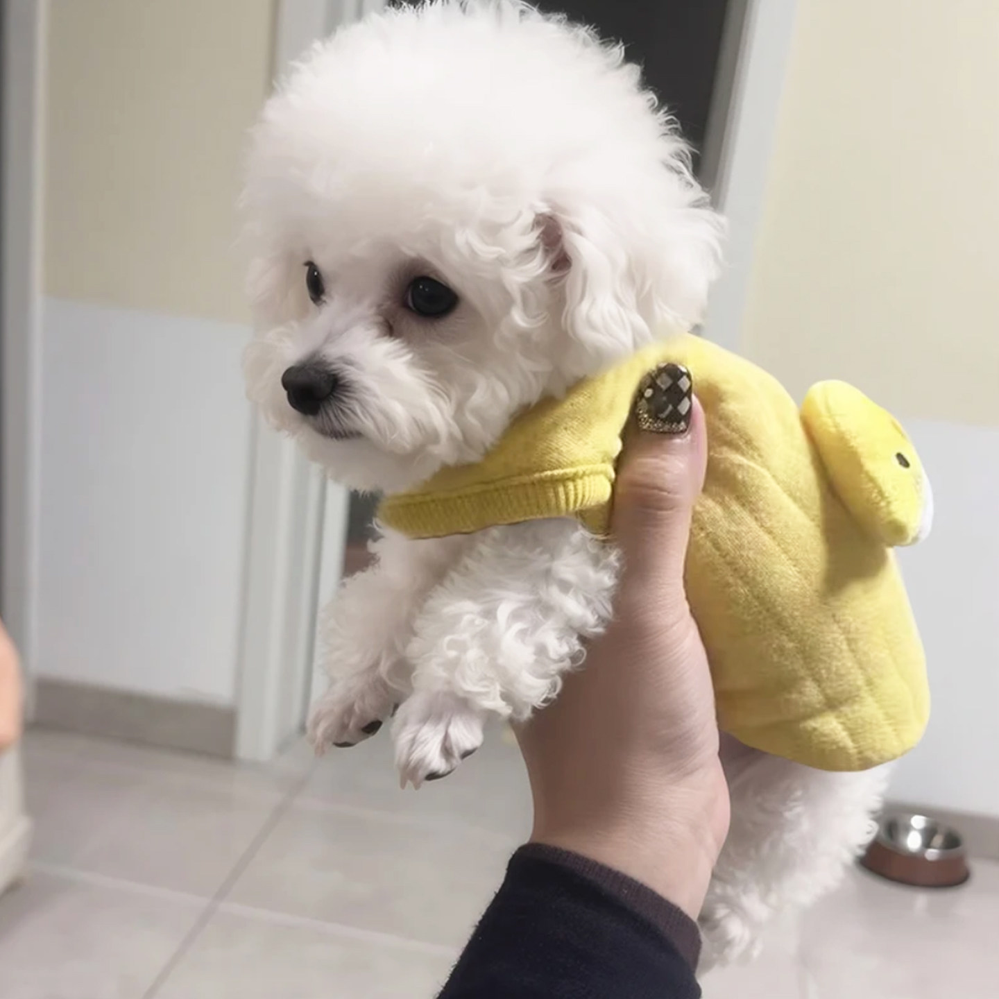 奶狗衣服秋冬款奶猫小狗可爱保暖背心新生幼犬1到2个月茶杯犬马甲