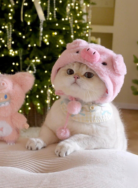 猫咪帽子可爱小猪头套搞怪银渐层布偶拍照神器小狗狗帽子装扮保暖