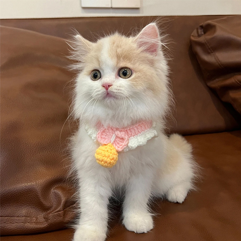 猫咪围脖狗狗口水巾幼猫布偶可爱围兜宠物手工编织配饰小比熊装饰