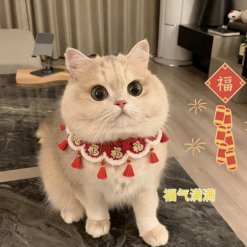 猫咪围脖新年项圈小猫口水巾过年喜庆围巾宠物围兜福字可爱小配饰,宠物/宠物食品及用品,围巾/口水巾,淘宝优惠券,粉丝福利购,淘宝优惠卷