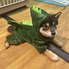 狗狗衣服保暖秋冬装恐龙变身装泰迪博美中小型犬幼犬宠物猫咪衣服