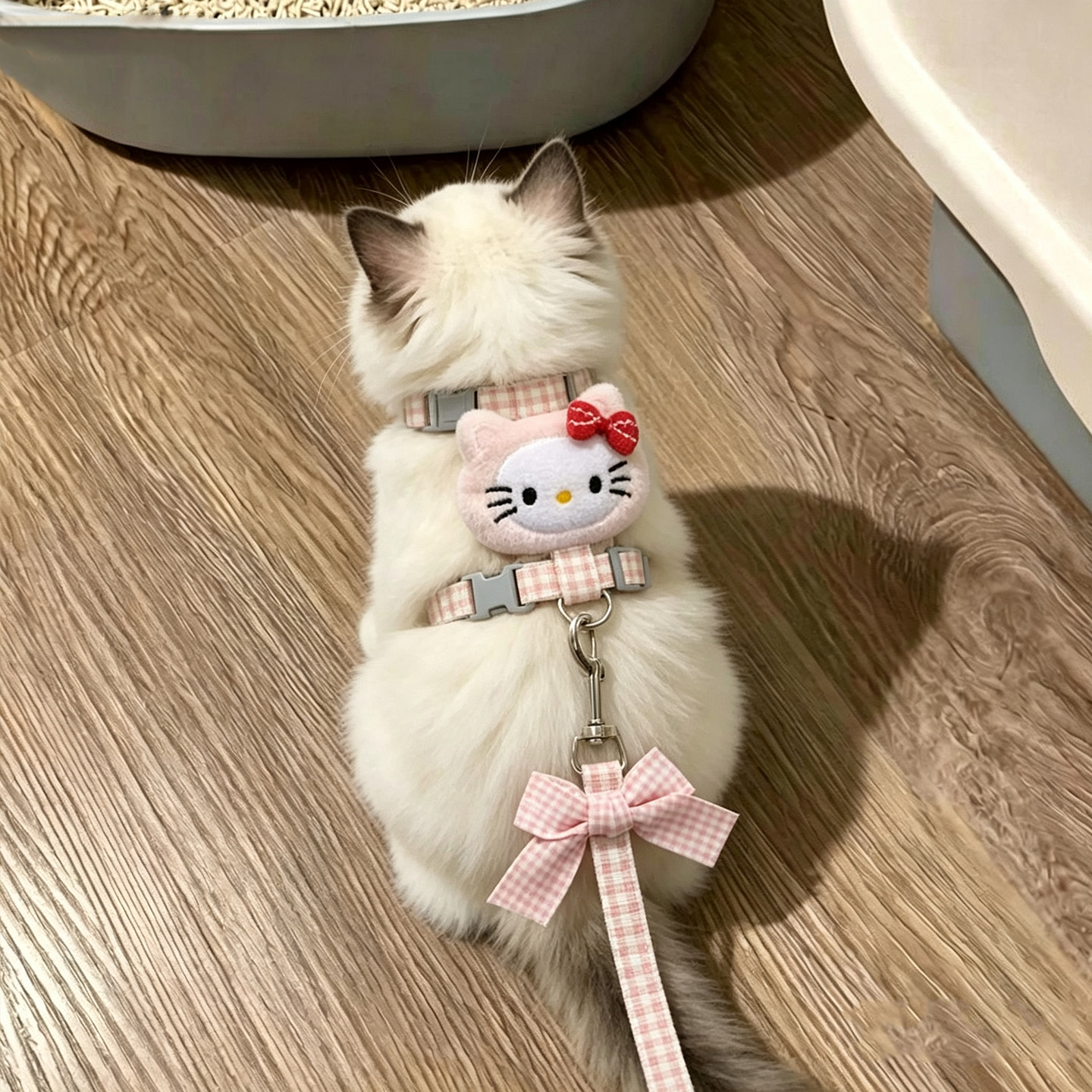 猫牵引绳不勒脖工字型防挣脱外出专用甜美可爱胸背带遛猫绳狗绳子图片