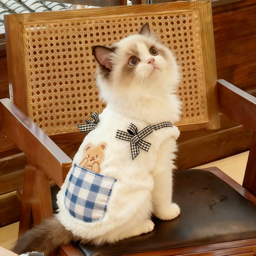 猫咪衣服冬季加绒背心银渐层布偶